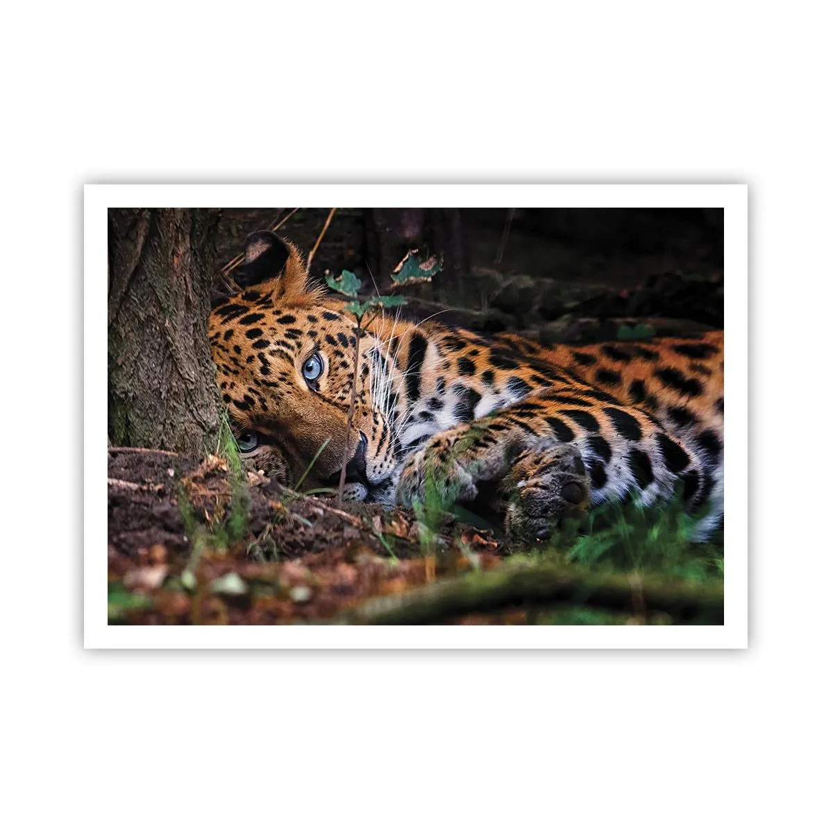 Poster - Geloof me - 100x70 cm