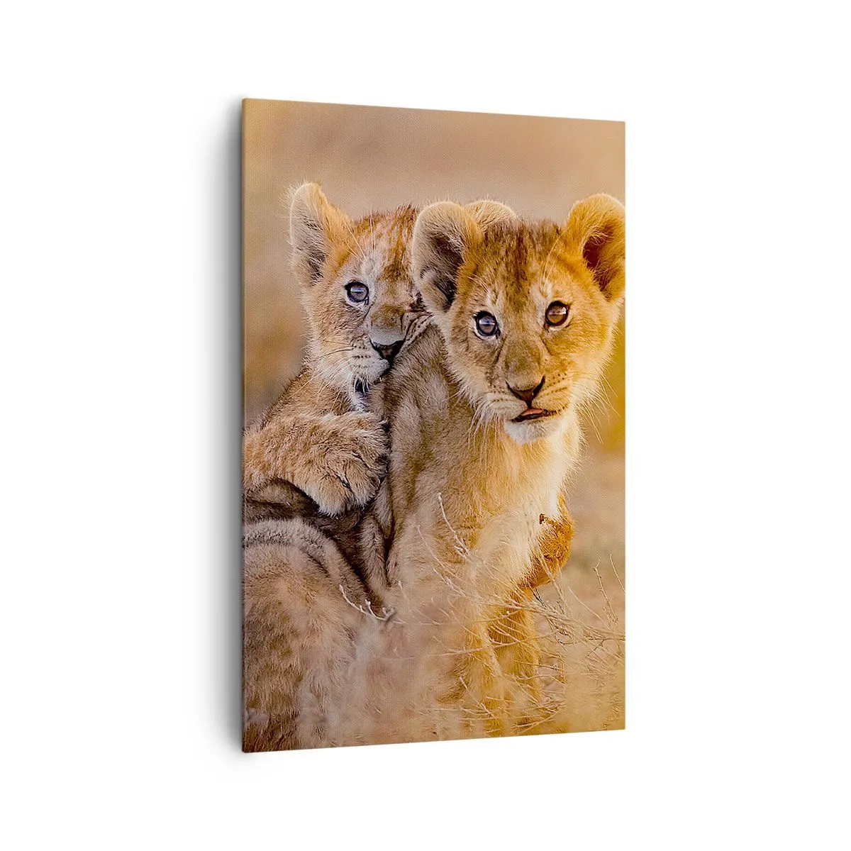 Schilderen op canvas - Niet storen! We hebben plezier - 80x120 cm