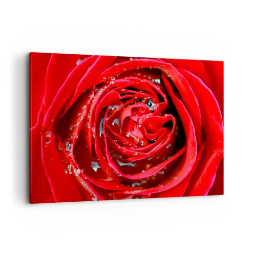 Schilderen op canvas - In de dauwdruppels - 100x70 cm