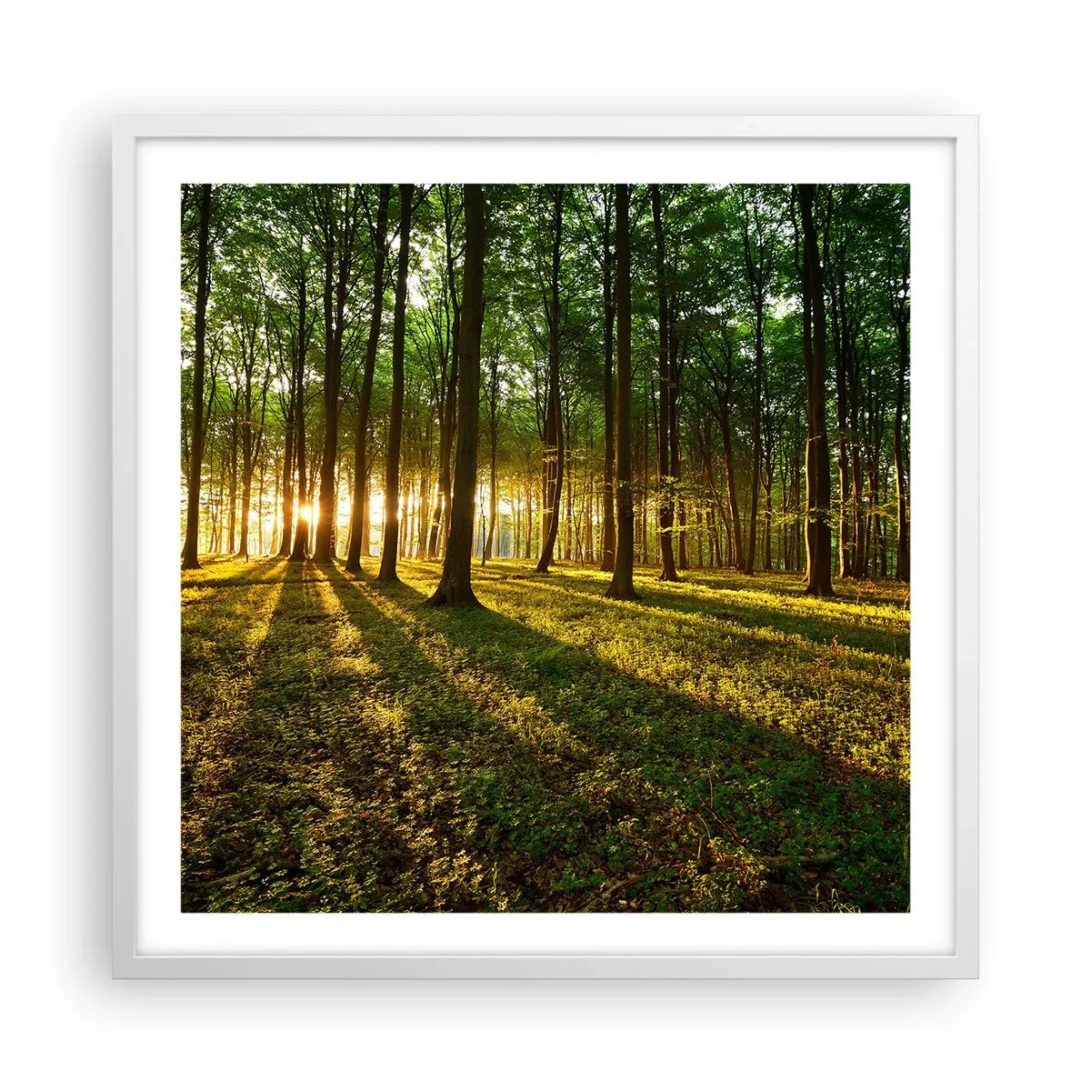 Poster in een witte lijst - Foto van de hele lente - 60x60 cm