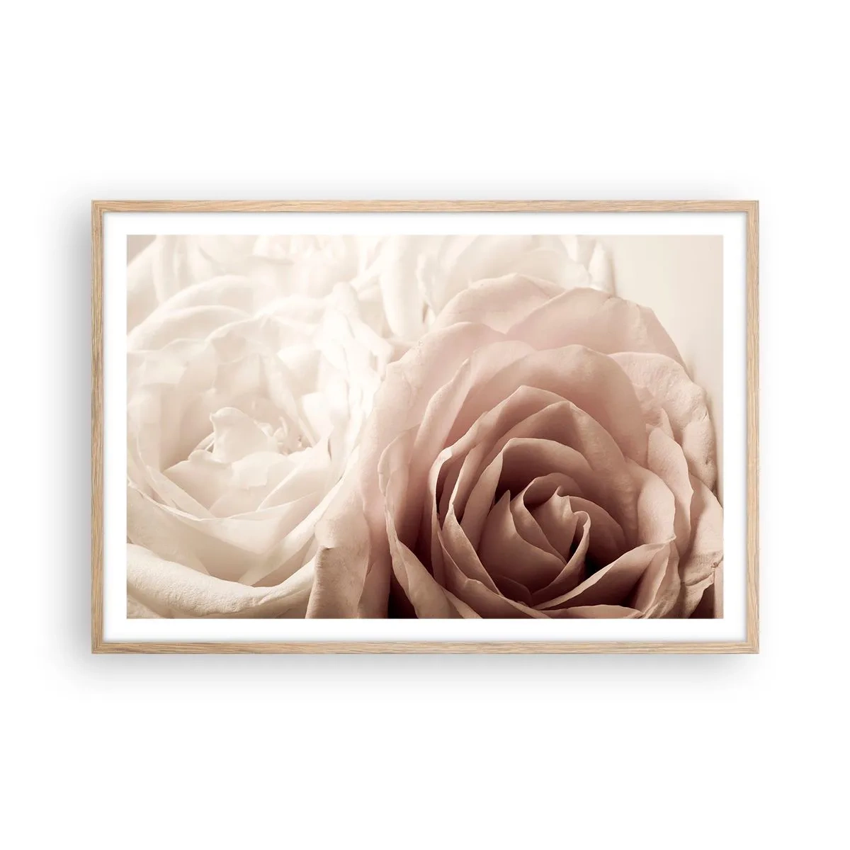 Een poster in een licht eiken lijst - In het hart van een roos - 91x61 cm