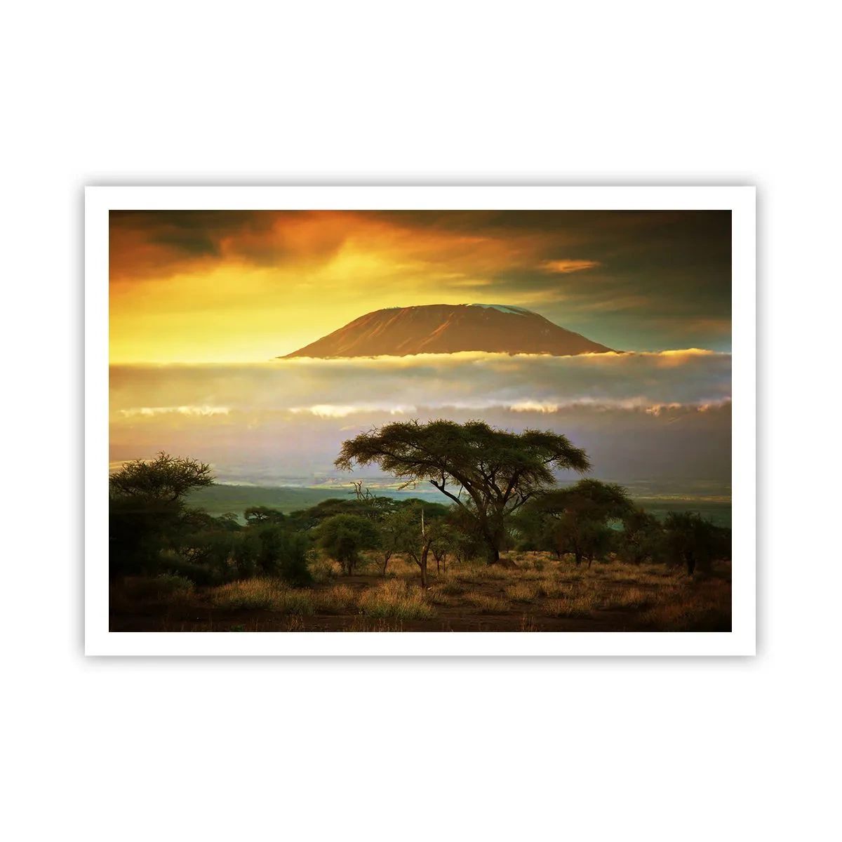 Poster - Een reizigersdroom - 100x70 cm