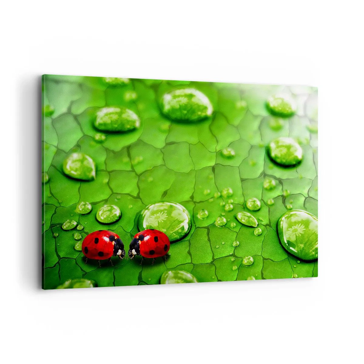 Schilderen op canvas - Ontmoeting in het groen - 120x80 cm