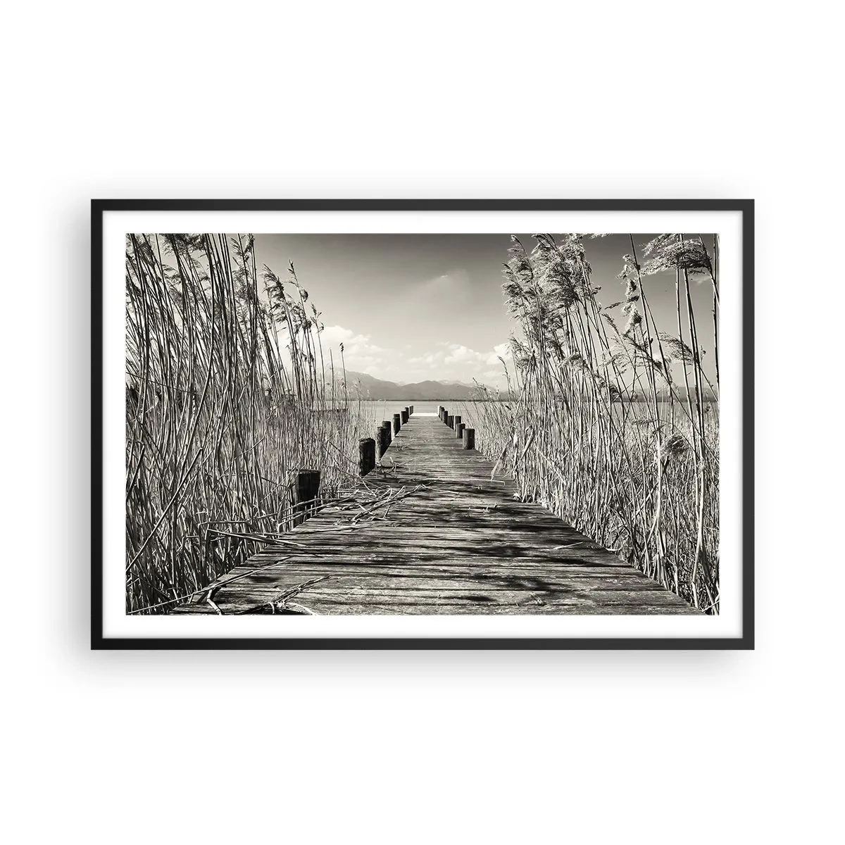 Poster in een zwarte lijst - In de stilte van het gras - 91x61 cm