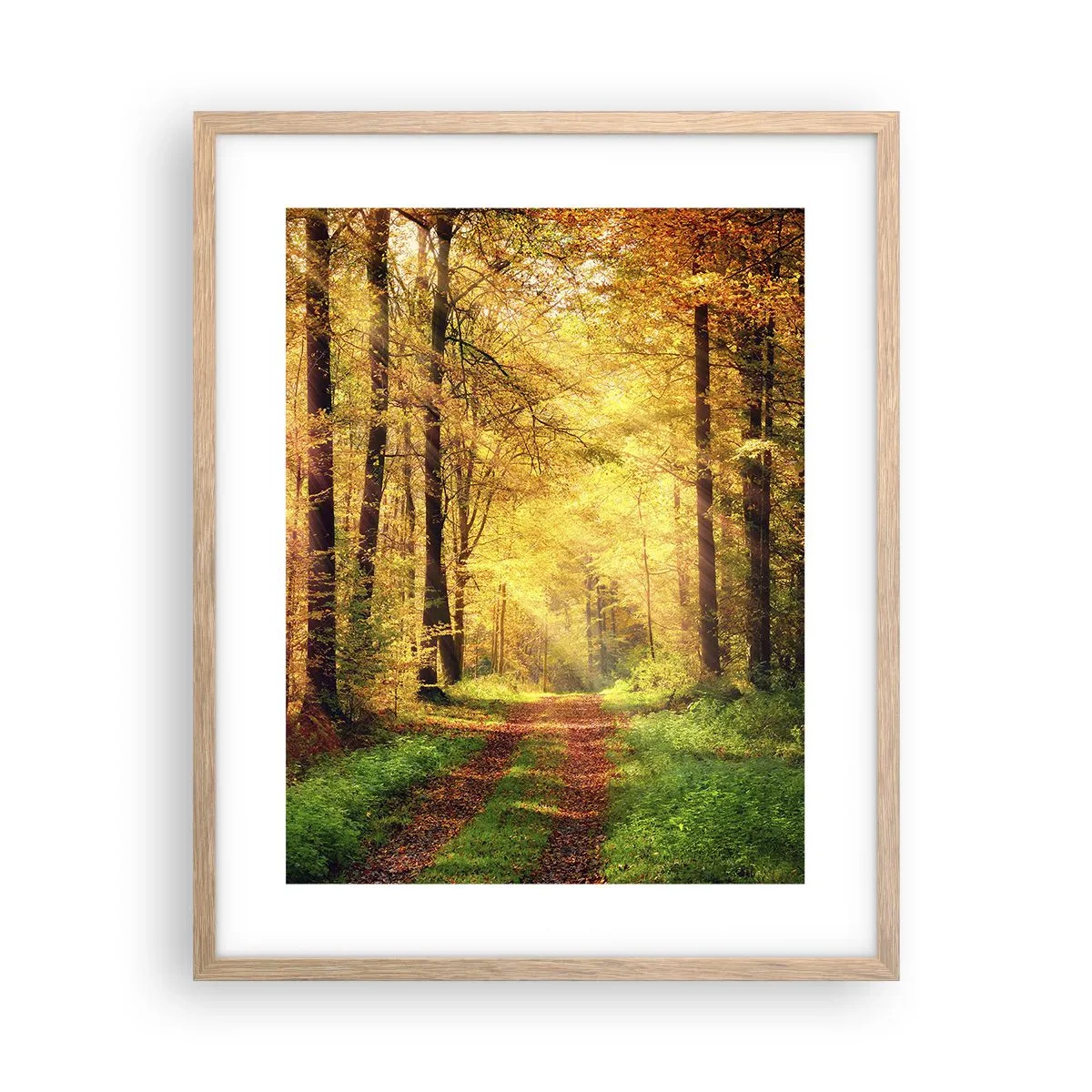 Een poster in een licht eiken lijst - Bos-gouden stilte - 40x50 cm