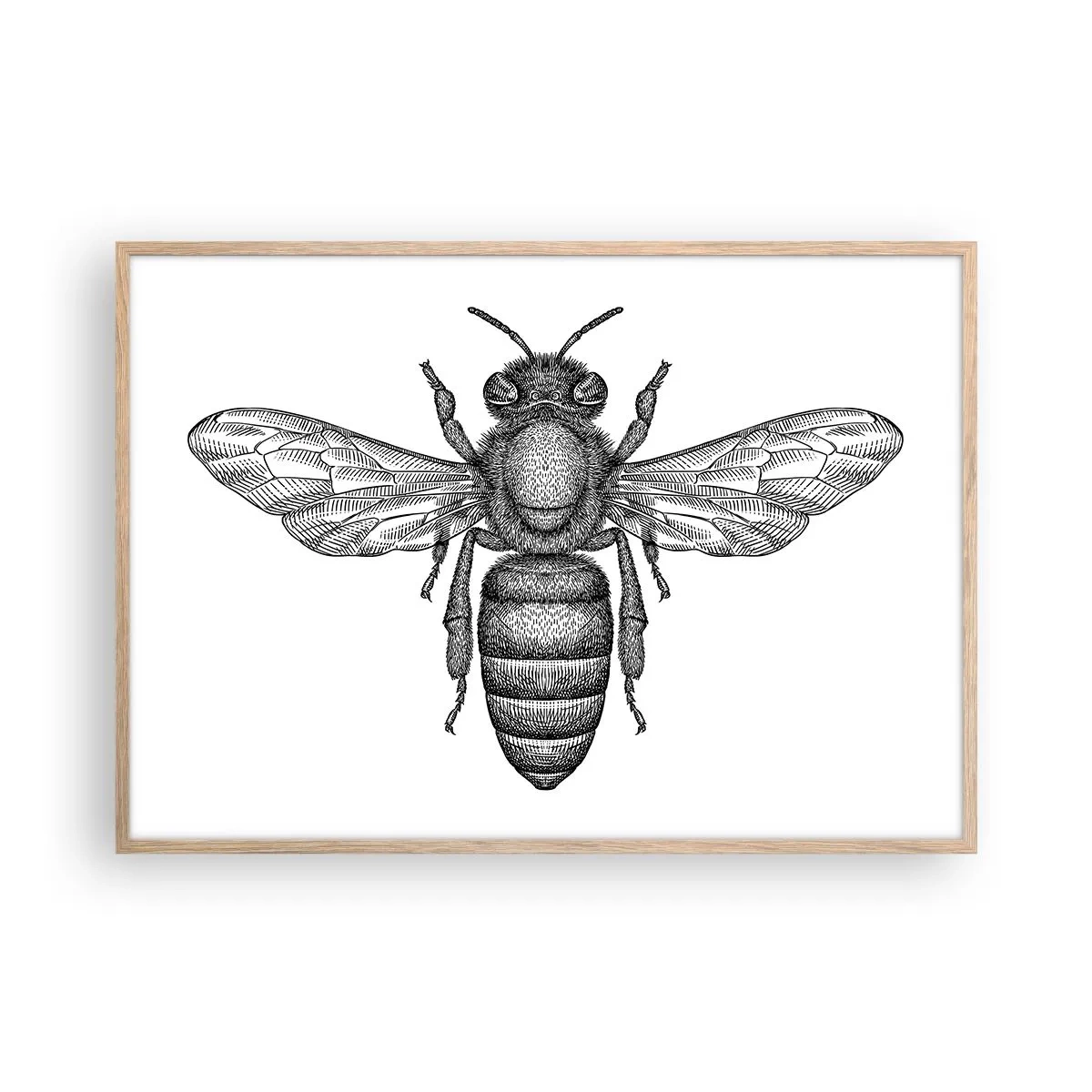 Een poster in een licht eiken lijst - Insectenportret - 100x70 cm