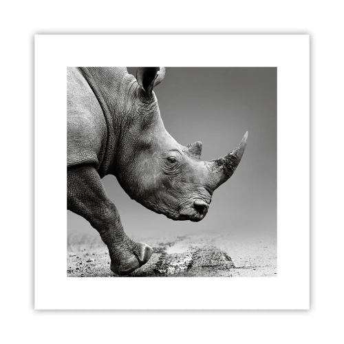 Poster - Onstuitbare kracht - 30x30 cm