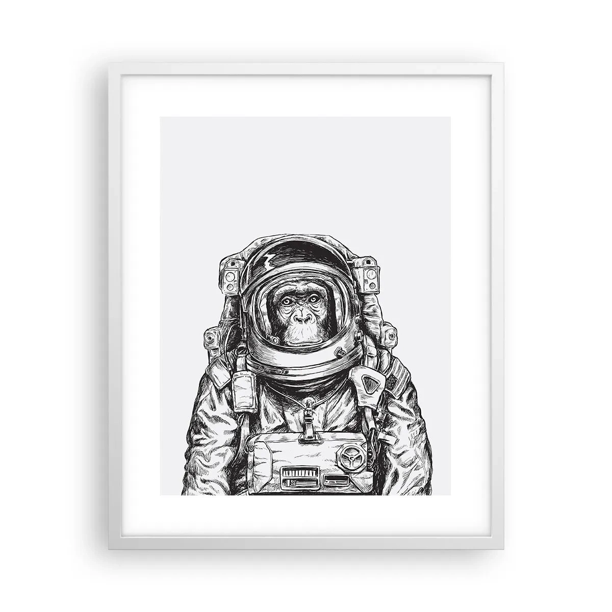 Poster in een witte lijst - Alternatieve evolutie - 40x50 cm