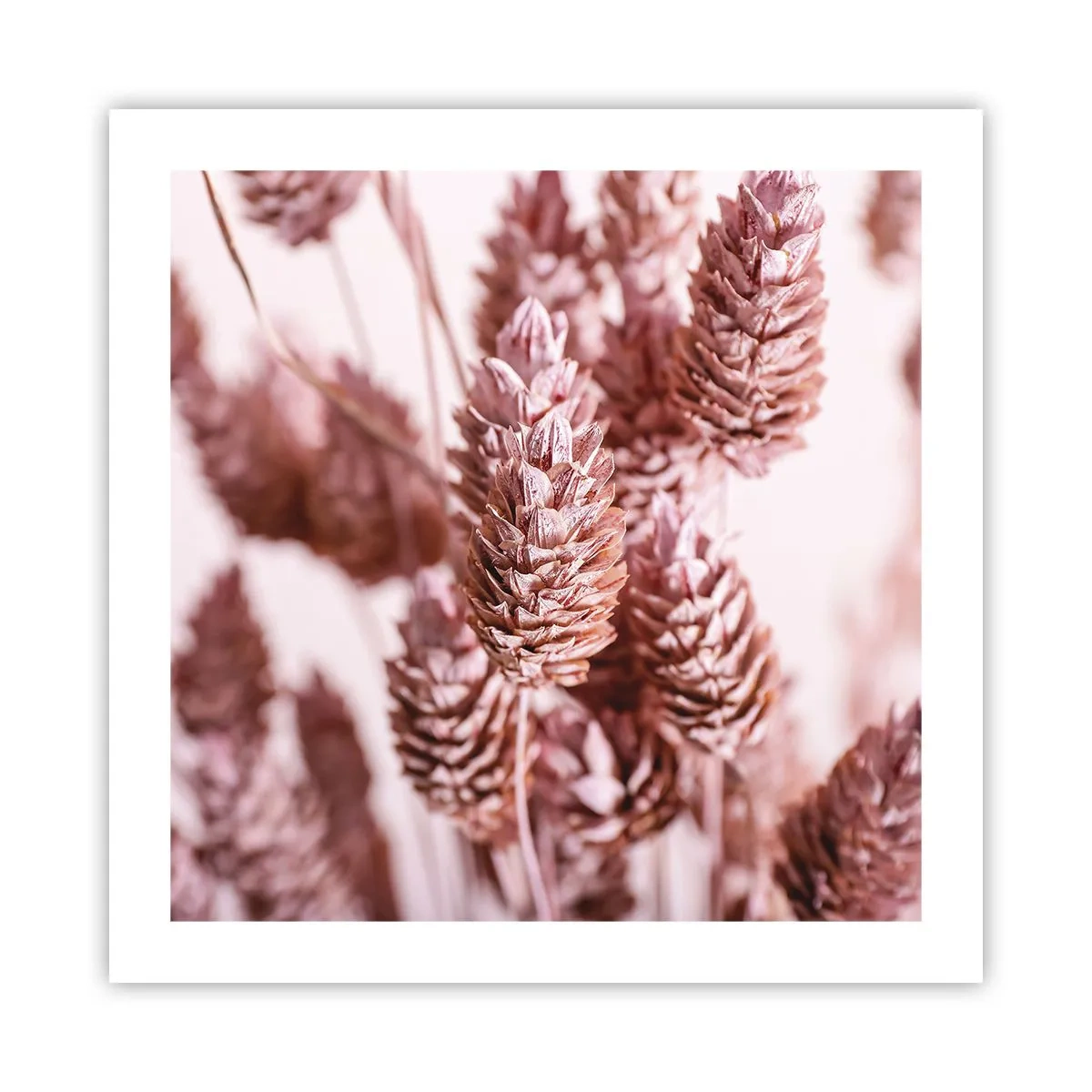 Poster - Schijnbaar onopvallend - 50x50 cm