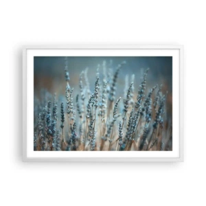 Poster in een witte lijst - Geurig korenveld - 70x50 cm