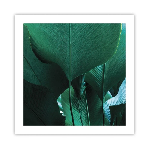 Poster - Naar het licht gekeerd - 50x50 cm