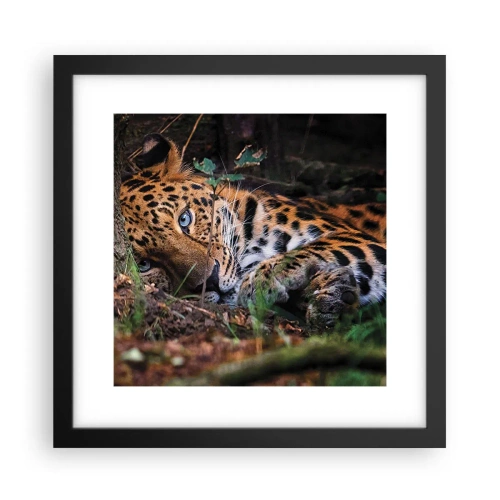 Poster in een zwarte lijst - Geloof me - 30x30 cm