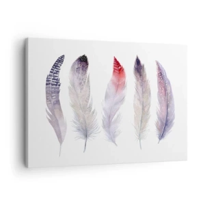 Schilderen op canvas - Vijf delicate veren in pasteltinten op een lichte achtergrond - 70x50cm - Delicaat als veelkleurige mist - Moderne wanddecoratie voor woonkamer en slaapkamer ARTTOR