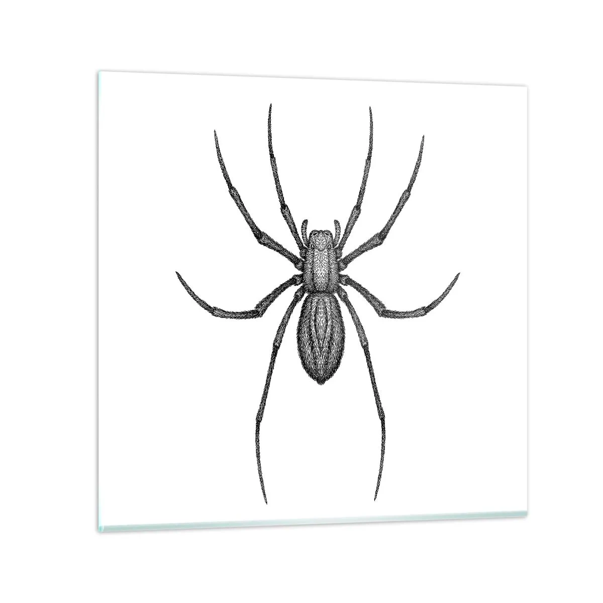 Schilderen op glas - Verontrustende precisie - 40x40 cm