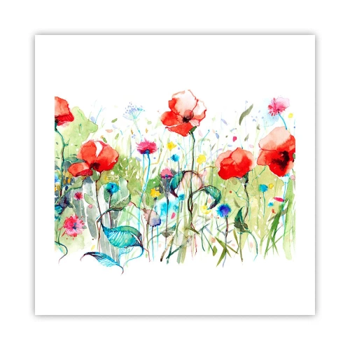 Poster - Bloeiende meiweide - 50x50 cm
