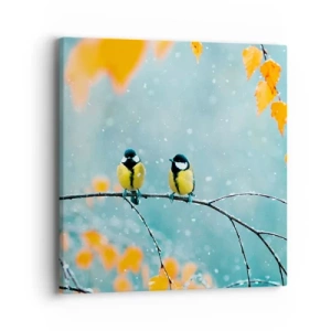 Schilderen op canvas - Vogelroddel - 40x40 cm