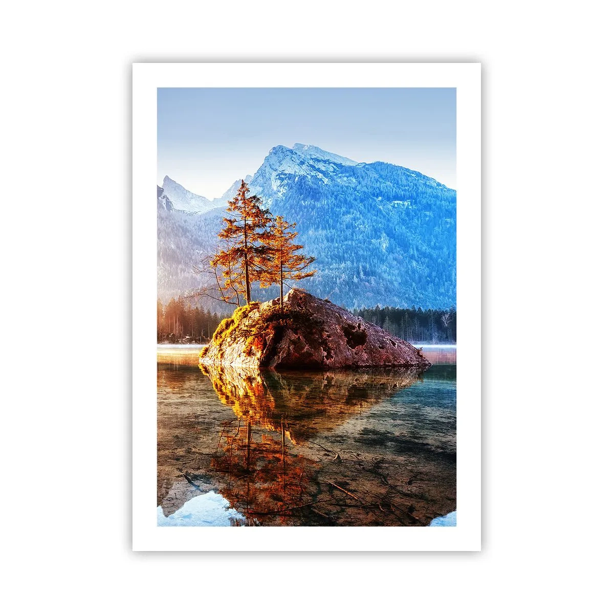Poster - De natuur in een nieuw licht - 50x70 cm