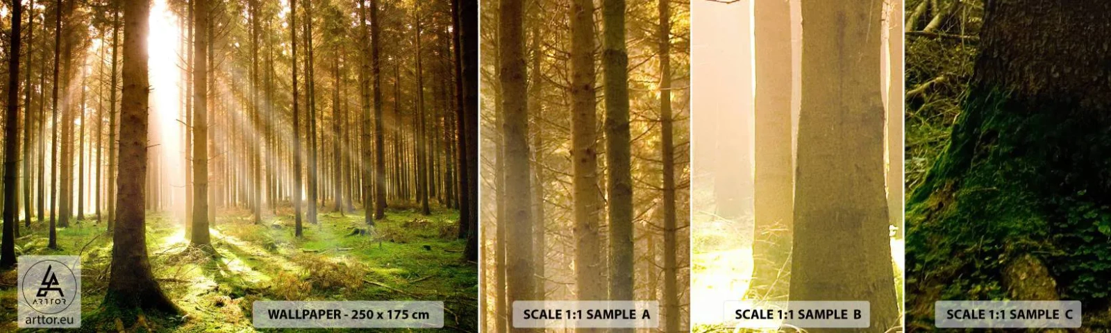 Fotobehang Staaltje Standard Eco - De elfjes zullen spoedig verschijnen - Woud, Stralen van de zon, Natuur - 100x30 cm