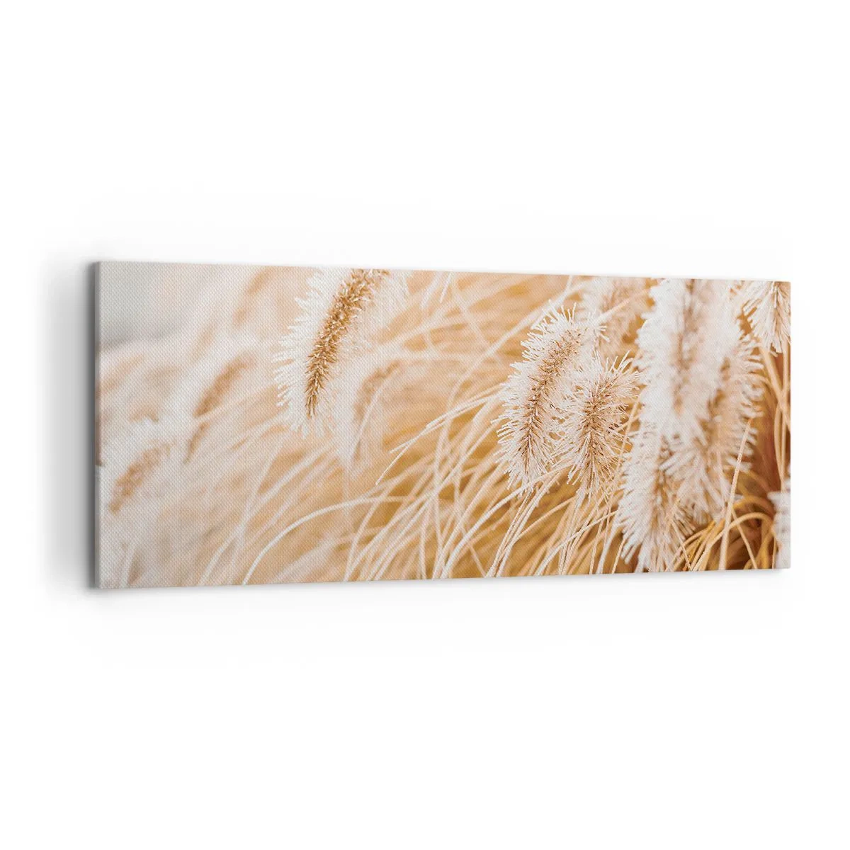 Schilderen op canvas - Het gouden geritsel van het gras - 120x50 cm