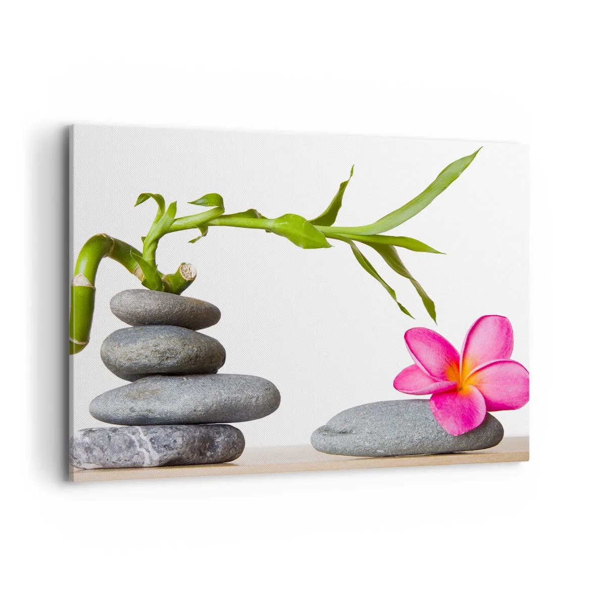 Schilderen op canvas - Kleuren van leven en duur - 100x70 cm