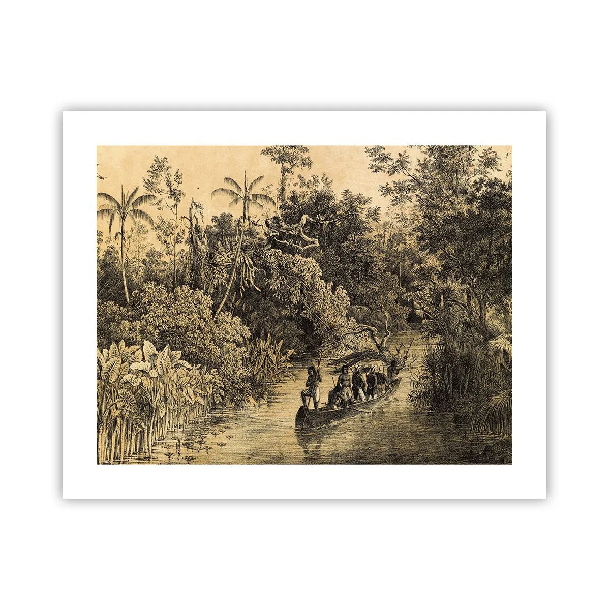 Poster - Expeditie naar de bron - 50x40 cm