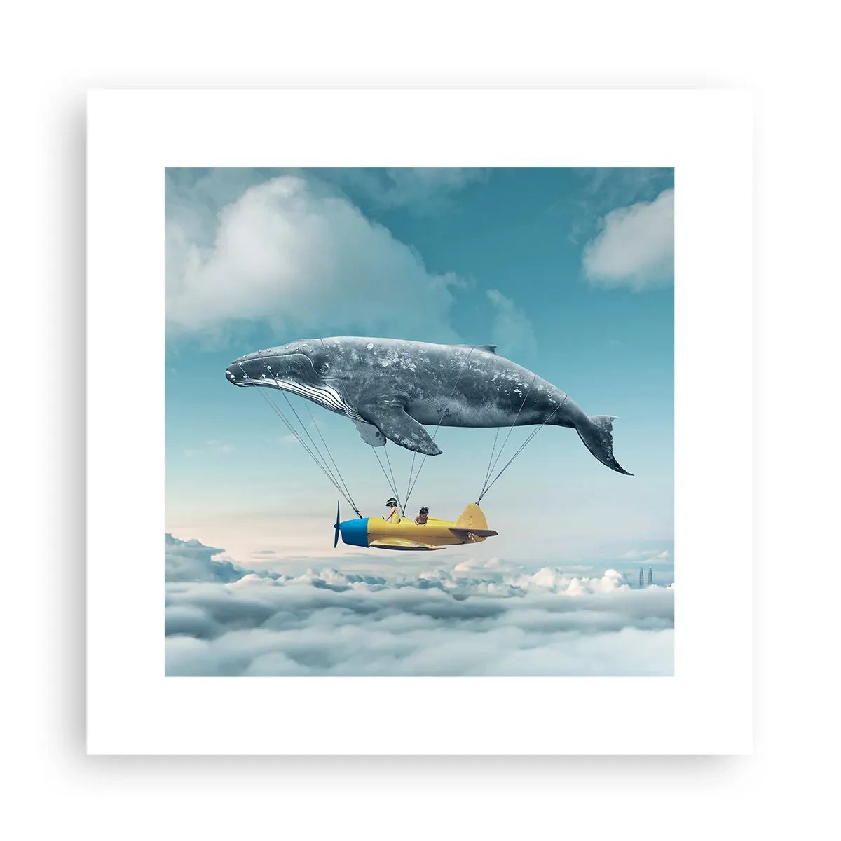 Poster - Waarom niet? - 30x30 cm