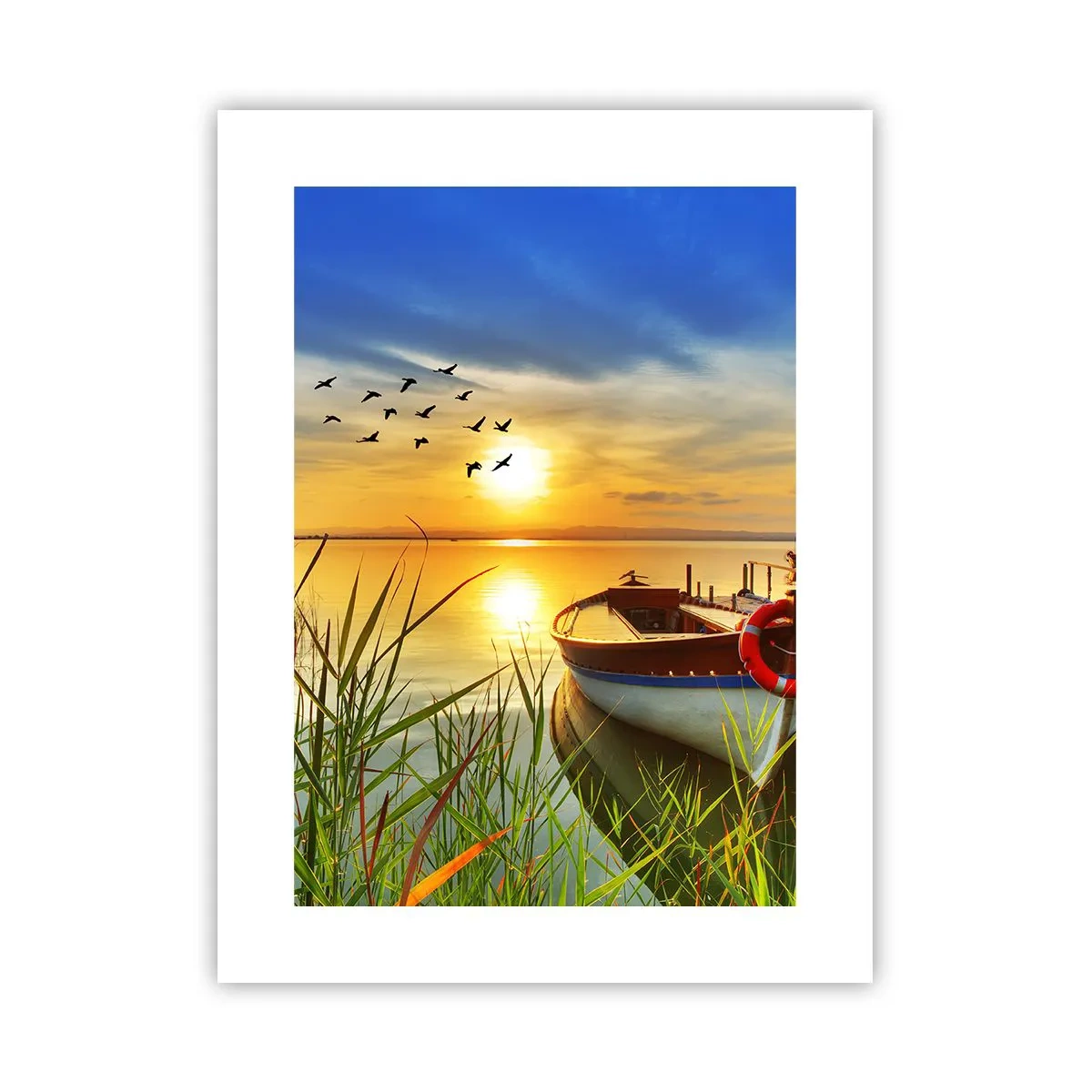 Poster - De aalscholvers vliegen al weg - 30x40 cm