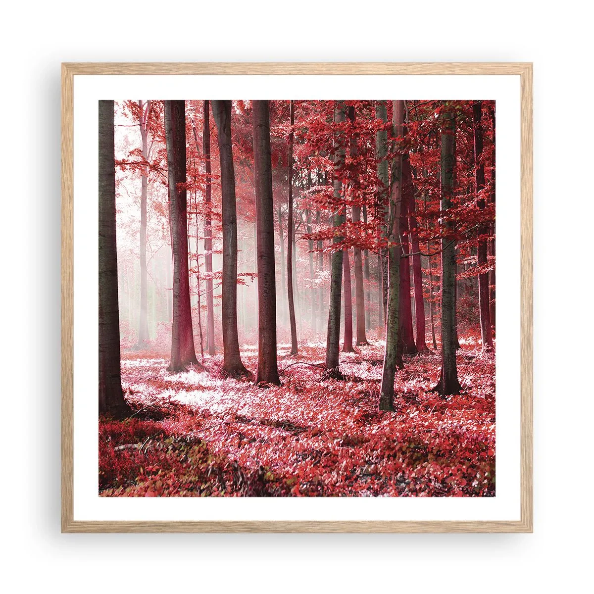 Een poster in een licht eiken lijst - Rood is net zo mooi - 60x60 cm