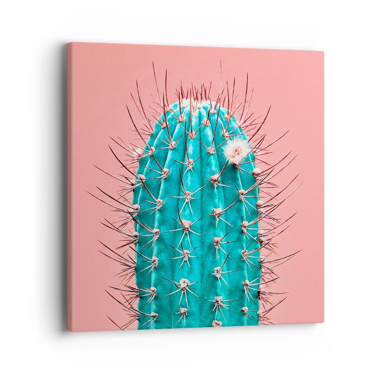 Schilderen op canvas - Kijk gewoon - 40x40 cm