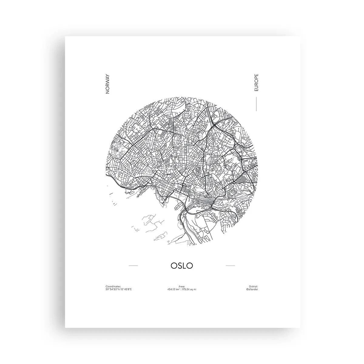 Poster - Anatomie van Oslo - 40x50 cm