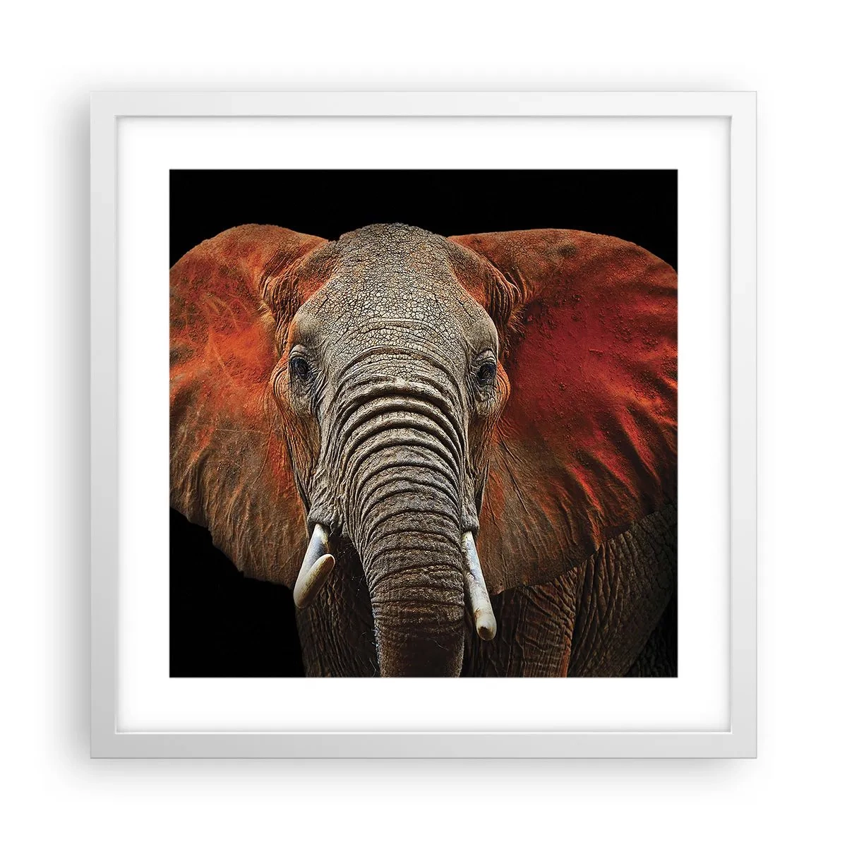 Poster in een witte lijst - Ik ben wild, en jij? - 40x40 cm