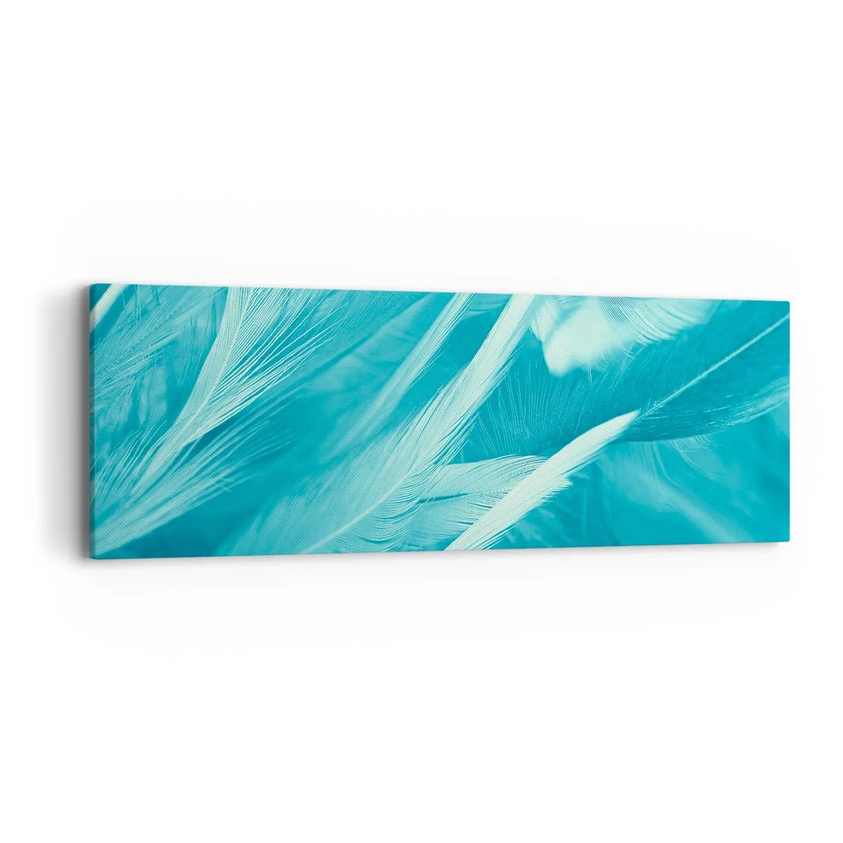 Schilderen op canvas - Verdrinken in pluisjes - 90x30 cm