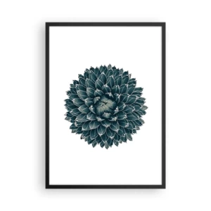 Poster in een zwarte lijst - Detail van een vetplant met een symmetrische bladschikking - 50x70cm - De ster van de woestijn - Moderne wanddecoratie voor woonkamer en slaapkamer ARTTOR