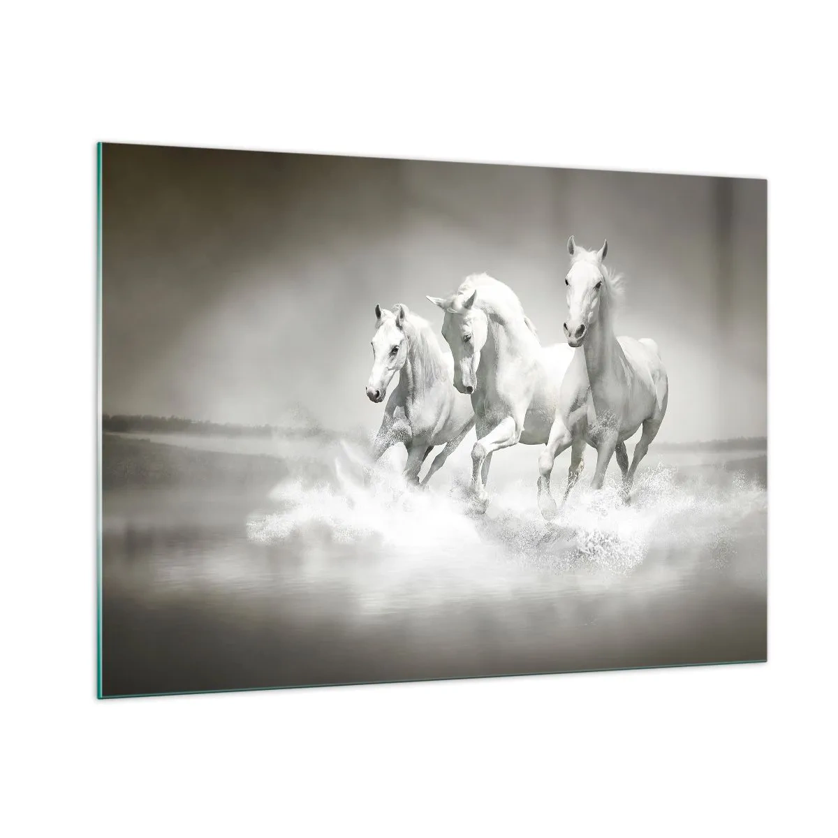 Schilderen op glas - Witte waanzin - 100x70 cm
