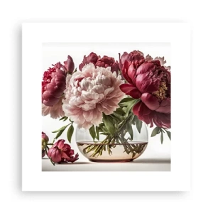 Poster - In volle bloei van schoonheid - 30x30 cm