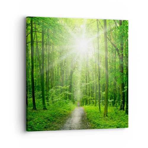 Schilderen op canvas - De groene kathedraal - 30x30 cm