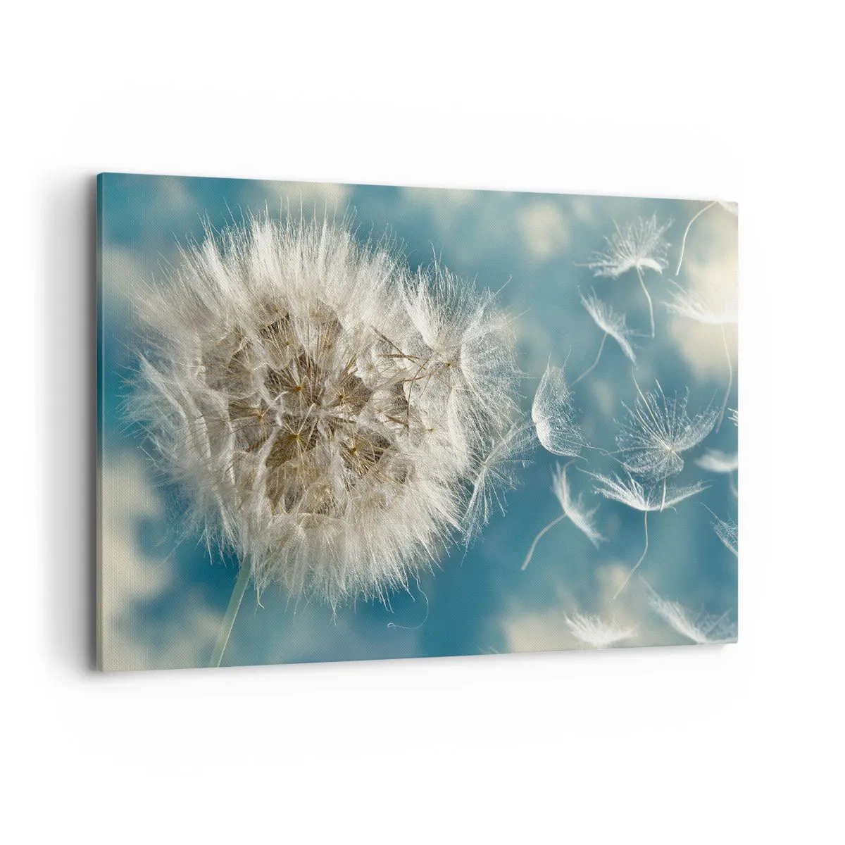 Schilderen op canvas - Engelen adem - 120x80 cm