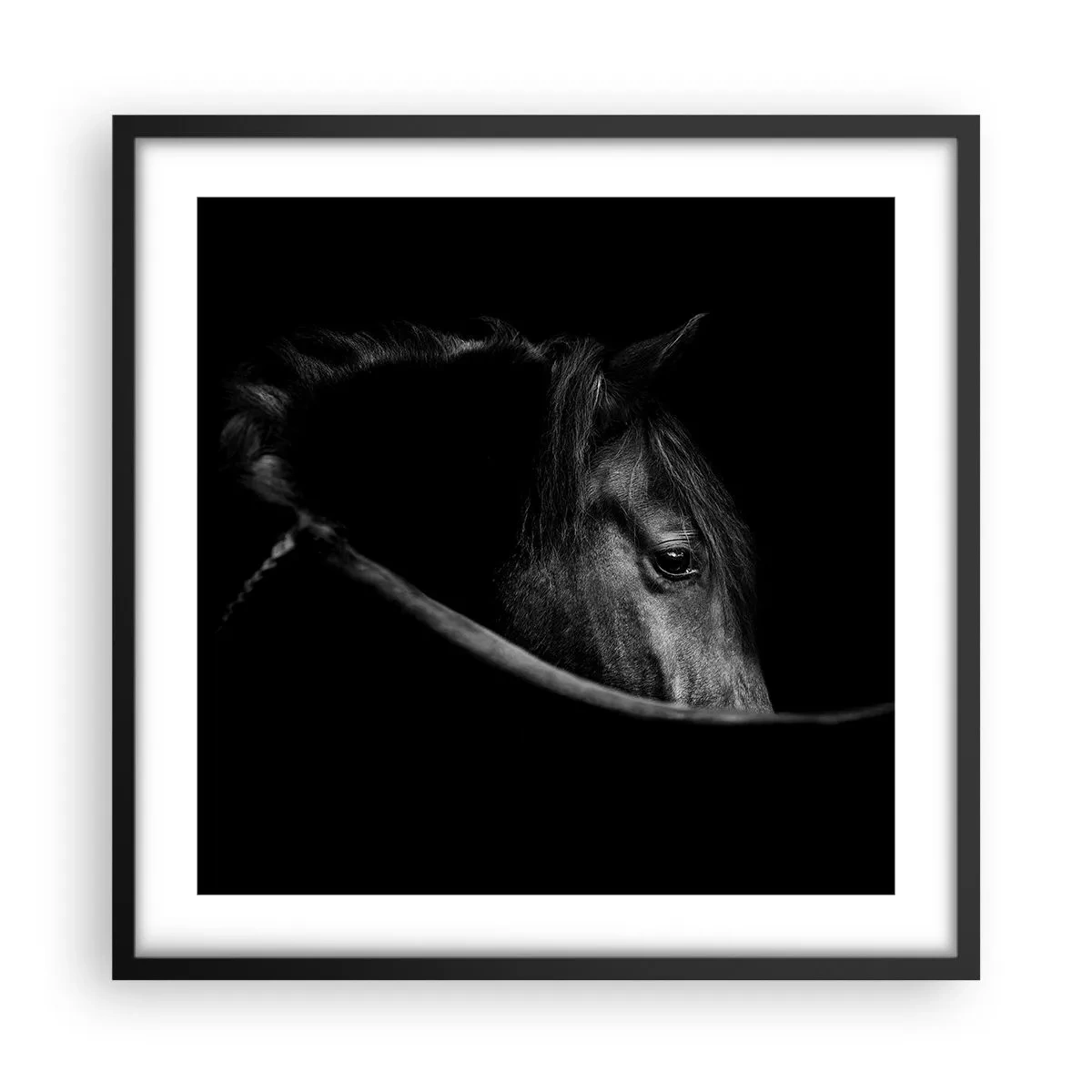 Poster in een zwarte lijst - Zwarte Prins - 50x50 cm