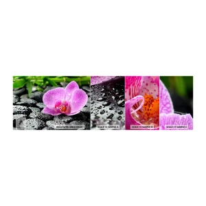Fotobehang Staaltje Standard Eco - Als een open hart - Bloemen, Orchidee, Orchidee - 100x30 cm