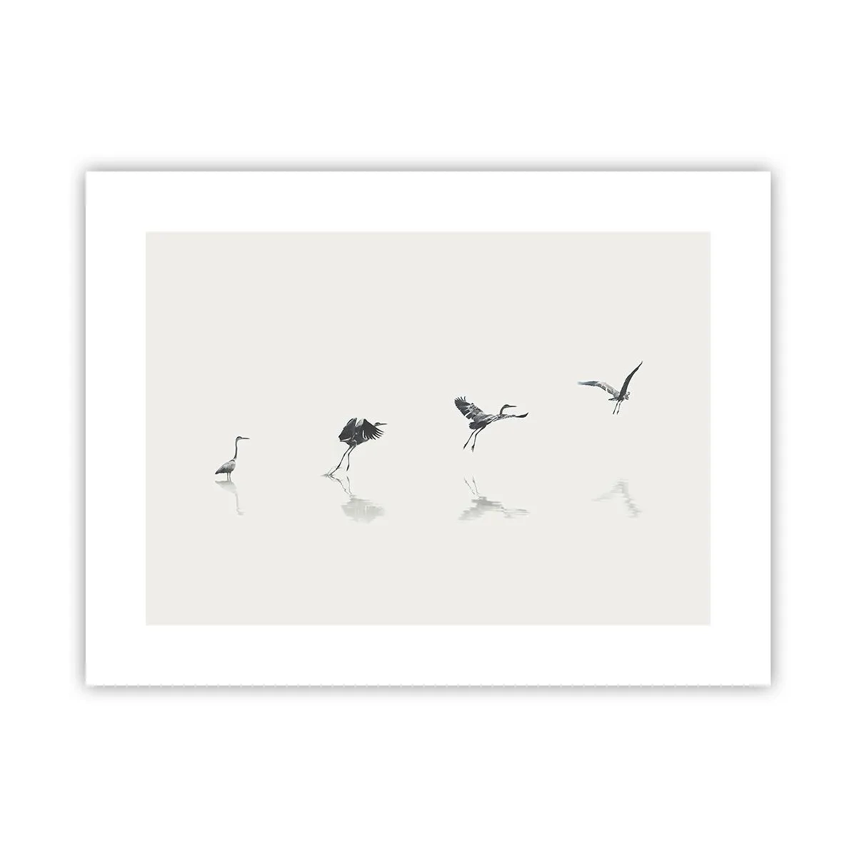 Poster - Vier eenvoudige stappen - 40x30 cm