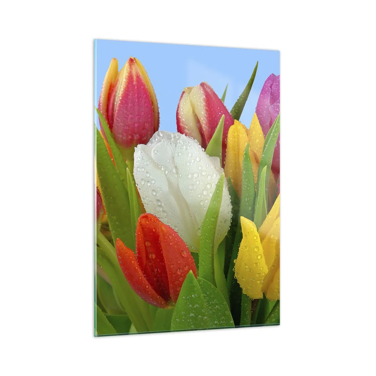 Schilderen op glas - Een bloemenregenboog in dauwdruppels - 50x70 cm