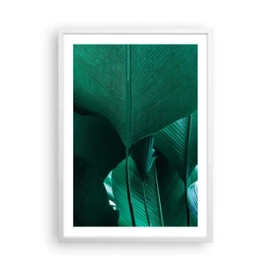 Poster in een witte lijst - Naar het licht gekeerd - 50x70 cm