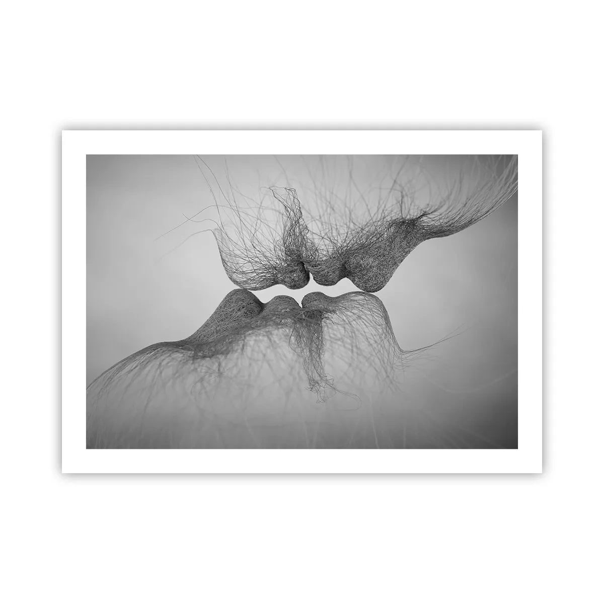 Poster - Kus van de wind - 70x50 cm