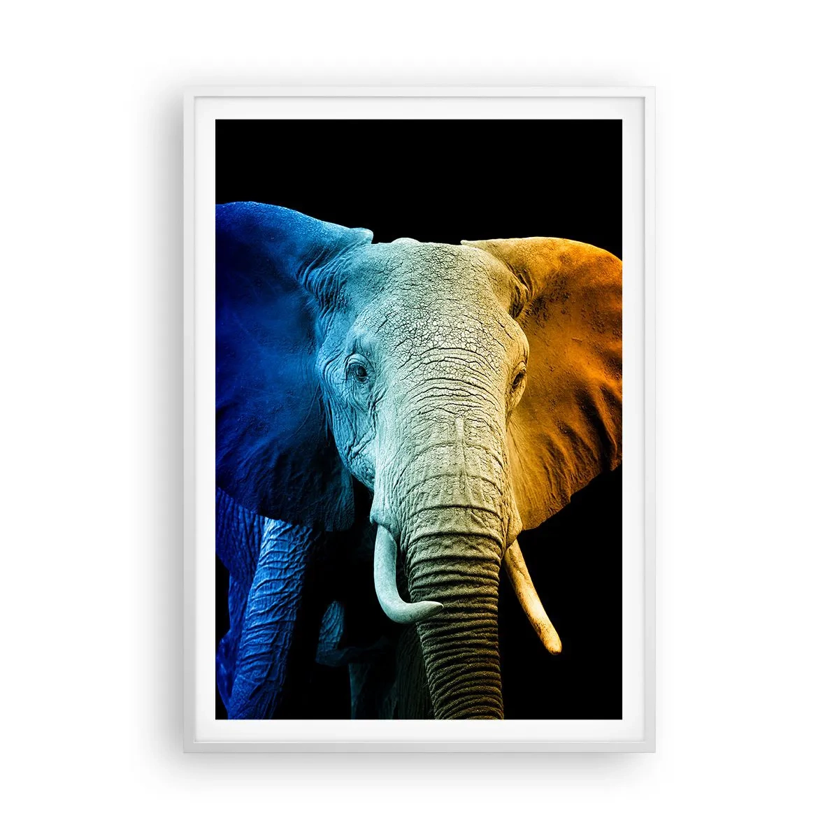 Poster in een witte lijst - Excentriek, niet raar - 70x100 cm