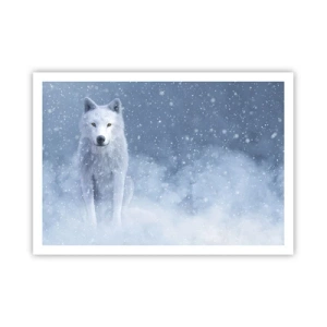 Poster - In winterse sferen - 100x70 cm