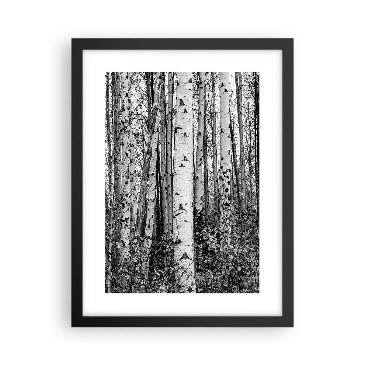 Poster in een zwarte lijst - Berken colonnade - 30x40 cm