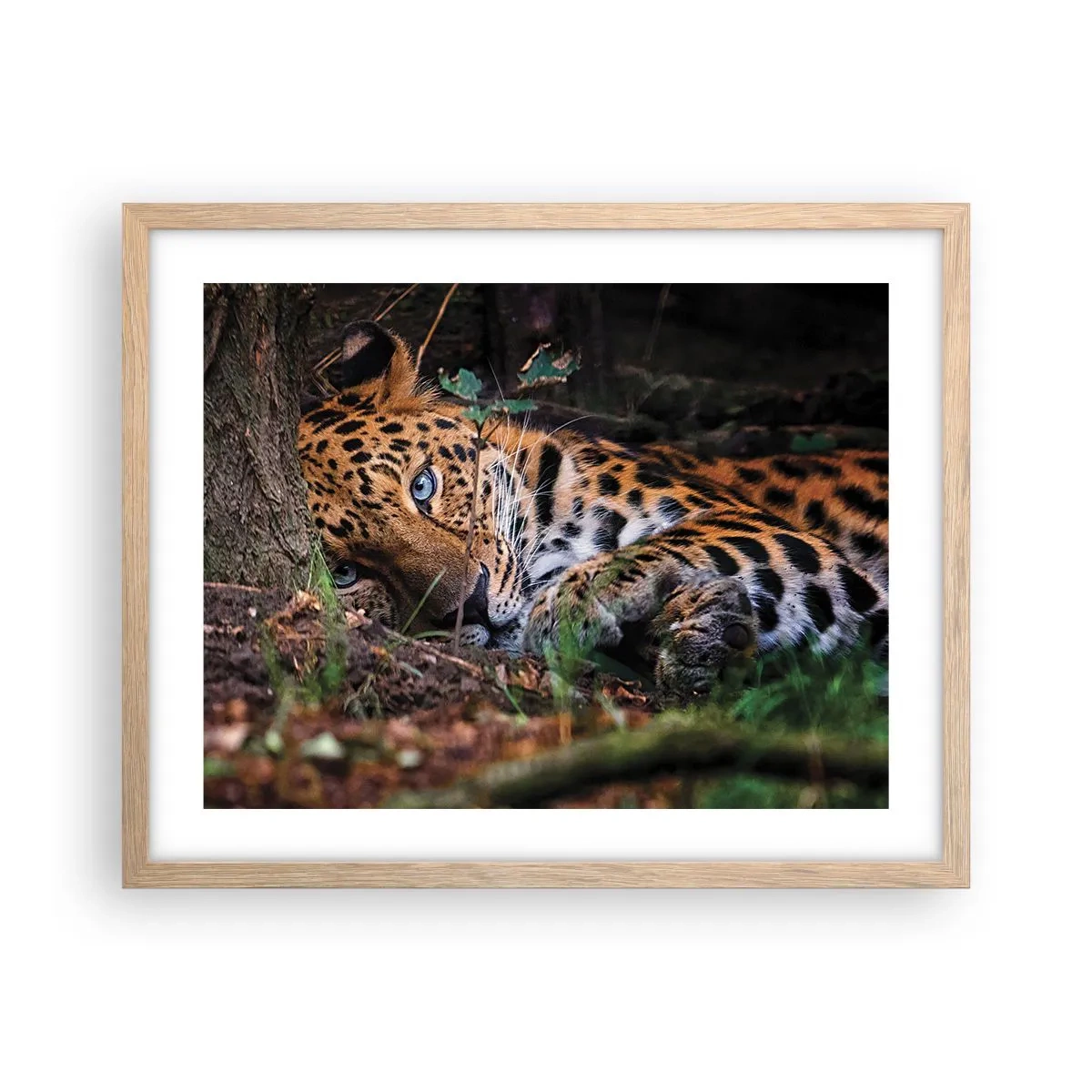 Een poster in een licht eiken lijst - Geloof me - 50x40 cm