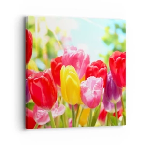 Schilderen op canvas - Dat zijn wij, de kleuren van mei! - 30x30 cm