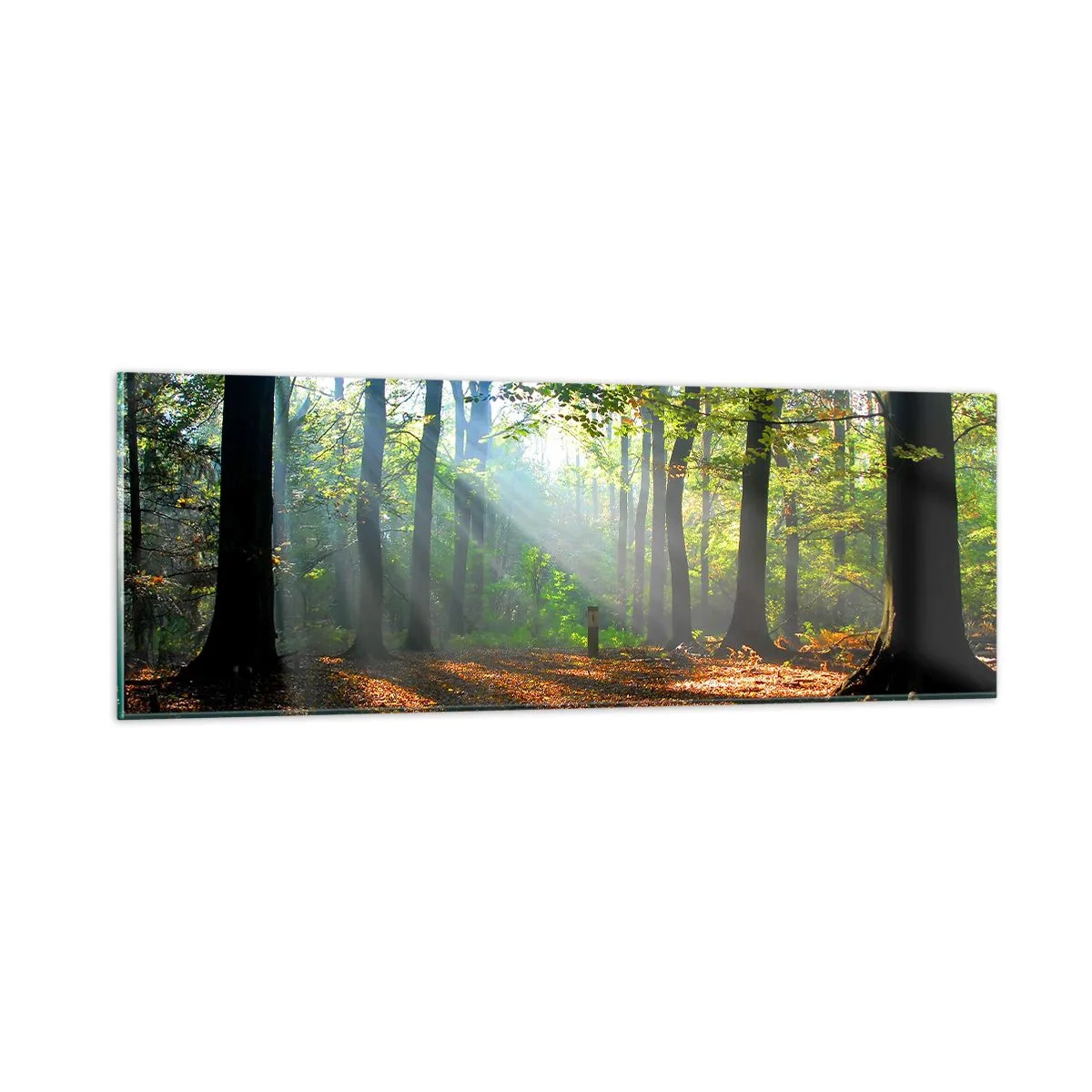 Schilderen op glas - Lichten en schaduwen - 90x30 cm