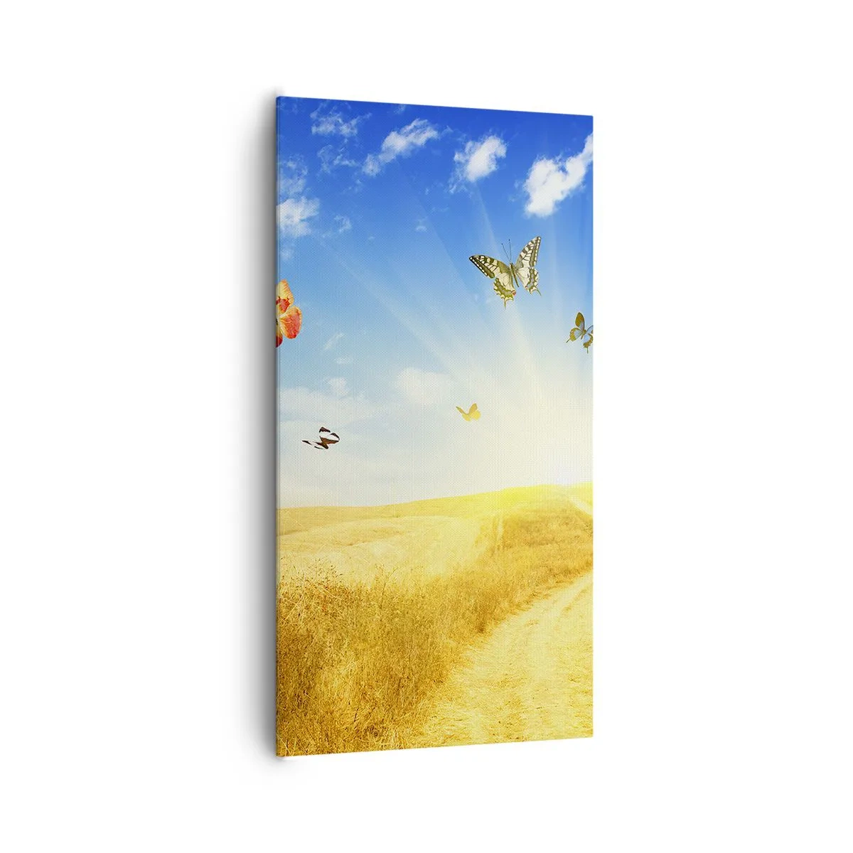 Schilderen op canvas - En hoe kun je niet van de zomer houden? - 65x120 cm